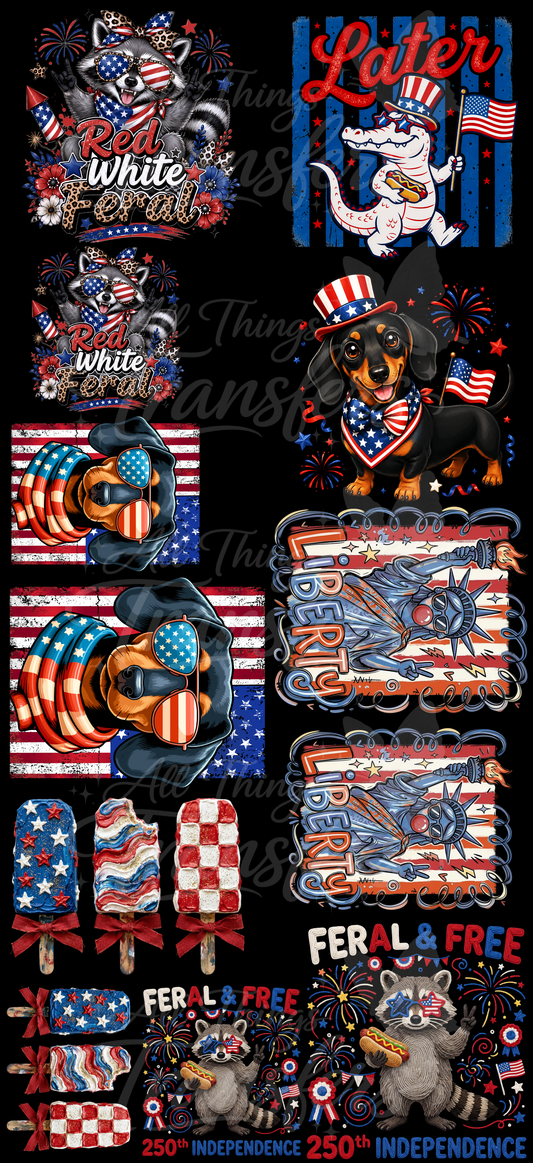 Patriotic Kids Collection Premade Gang Sheet | 48" Ready-to-Press DTF Transfers